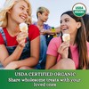 Lets Do Organic Ice Cream Cones - Sugar Cones for