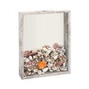 FramePro Shadow Box Seashell Collection White 11x14 Top Loading Display