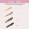 1000 Hour Dab-On Hair Colour Concealer 12g, Light Brown/Honey