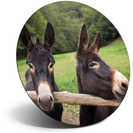 Destination Vinyl ltd Magnet for Refrigerator, Fridge - Cute Donkey Horse Pony for Office, Cabinet and Whiteboard, Magnetic Stickers, 16451