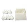 Ise - Miyachu - Purification Exorcism Salt Set (1 Salt