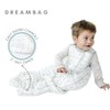 Tealbee Dreambag: Rayon Made from Bamboo, Organic Cotton Baby Sleep