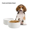 Havniva Non-Slip Ceramics Dog Bowl, 6in, White, 28oz