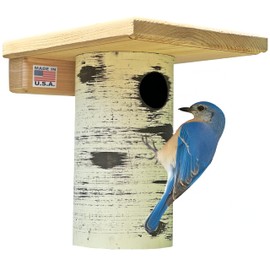 DutchCrafters Cedar Wood Pole Mount Gilbertson Bluebird House with Removable Base, Weatherproof Wooden Birdhouse Blue Bird Nesting Box for Outdoors
