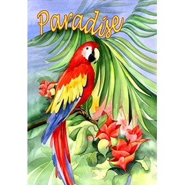 Toland Home Garden 112093 Macaw Paradise 12.5 X 18" Decorative USA-Produced Garden Flag