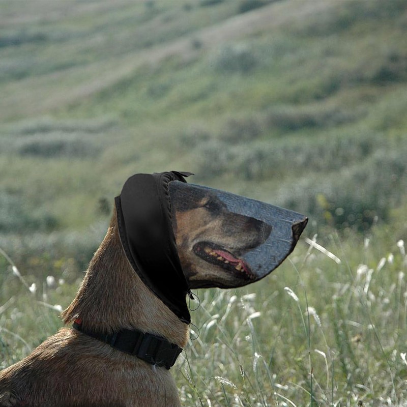 Field Guard for Dogs Outdoor Hiking Camping Foxtail Mask for