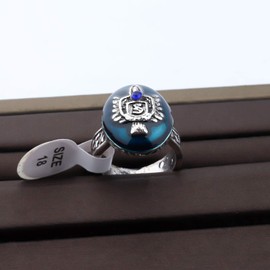 Inspired Jewelry Stefan Salvatore Family Signet Crest Daylight Ring (Stefan size- 8)
