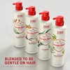 Old Spice Gentleman’s Blend with Tea Tree & Neem Oil,