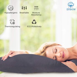 Cotton Star European Square Pillow Shams Set of 2 Silver Euro Shams 24x24 Pillow Covers 600 TC European Pillow Shams 100% Organic Cotton Euro Size Decorative Pillow Cover (24x24, Silver)