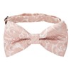 Alizeal Mens Gradient Paisley Bow Tie Pre Tied Pocket Square