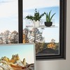 Hexsonhoma Clear Acrylic Windows Plant Shelves, 12 Inch Window Plant