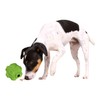 TRIXIE TX-34812 Snack Ball Natural Rubber 9 cm