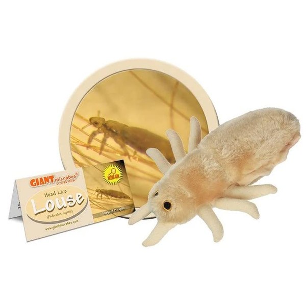 GIANT MICROBES Louse Plush – Learn About Lice and How to Treat Them, Fun Educational Gift for Family, Friends Doctors, Nurses, Scientists, Insect Lovers and All with a Healthy Sense of Humor