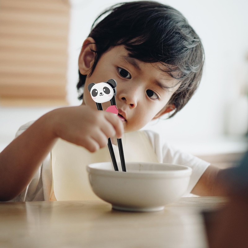 4 Pcs Kids Chopsticks, Chop Sticks, Chopsticks for Kids for