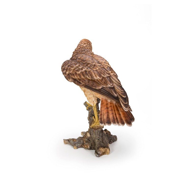 Hi-Line Gift Ltd. Wild Hawk Standing on Branch Garden Statue