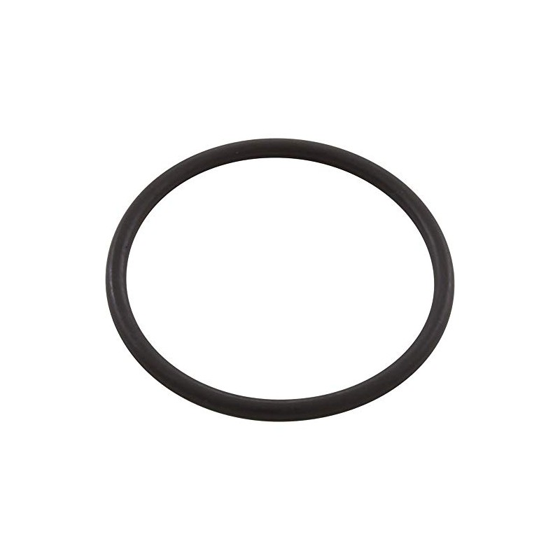 Pentair R172319 Bottom O-Ring