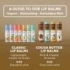 Fair Trade Cocoa Butter Lip Balm Four Pack