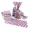 SaktopDeco 100 PCS Patriotic Cellophane Treat Bags 5x11 Red White