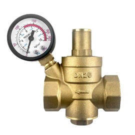 CYTGOUPER DN20 Pressure Regulator Water, Brass Water Pressure Regulator with Pressure Regulator Pressure Gauge, Pressure Relief Valve Water