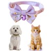 Cat Collar for Cats with Bow Tie and Rattles, Cat