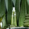 Unknown 에스에스_62부드럽게 연꽃추출물 알로에 미스트 150ml SS_62 Softly Lotus Extract Aloe Mist 150ml