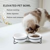 Elevated Dog Bowl Iron Frame 6-inch Ceramic Dog or Cat