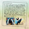 Crow Tarot Pocket Edition (Crow Tarot Pocket Edition) with Tarot