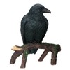 Raven - Collectible Figurine Statue Sculpture Figure Crow Bird Model