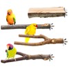 KIPTVO 4PCS Natural Wood Bird Perch, Budgie Perches, Parrot Perch,