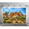 CSFOTO Polyester 5x3ft Joshua Tree National Park Backdrop Arid Barren