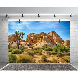 CSFOTO Polyester 5x3ft Joshua Tree National Park Backdrop Arid Barren Cactus Sandstone Rock Climate Mountain and Desert Scenery Backdrop Desert Terrarium Background