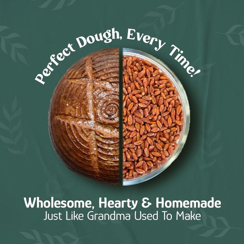 Wheat Montana Bronze Chief Hard Red Wheat Berries, Bulk, 50
