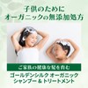 World Standard Organic Golden Silk Organic Shampoo Treatment [95% Naturally