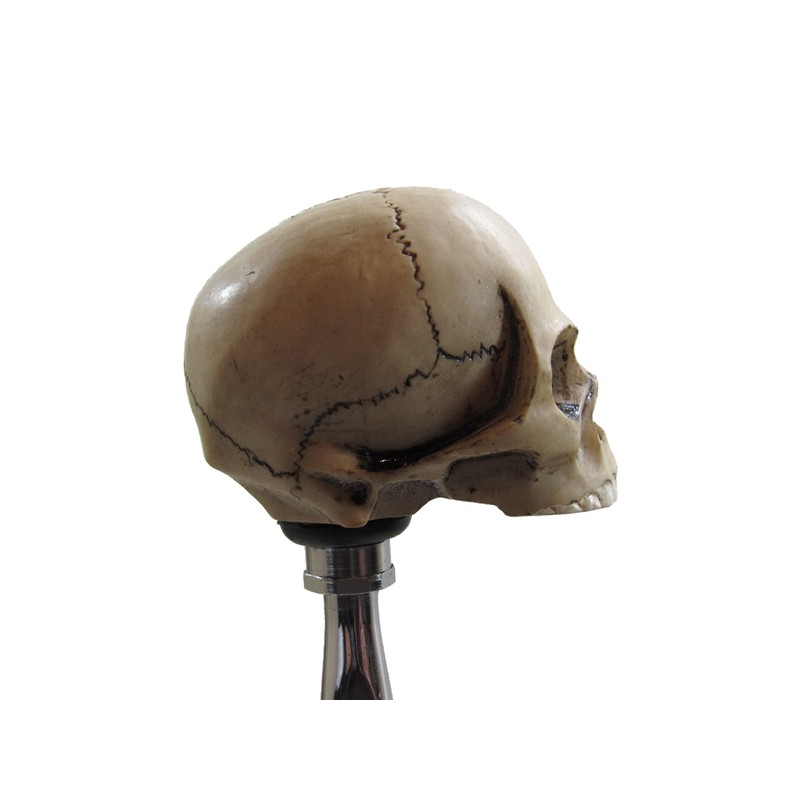Kool Collectibles No Jaw Skull Head Shifter Shift Knob Rat