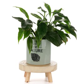 TITA-DONG Wood Potted Plant Stand,Solid Wood Mini Stool Plant Display Stand,Vintage Round Rack Modern Decorative Flower Pot Planter Holders for Home Balcony Garden