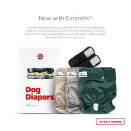 Pet Parents® Washable Dog Diapers (3pack) + Extendrs® of Durable Doggie Diapers, Premium Dog Diapers Female (Medium, Spruce)