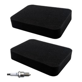 17211-899-000 Air Filter for Honda Generator GP5500 GP6500 GP6500E GP7500 GP7500E GP8000E RS5500 RS7000E EB5000X EM5000SX EB5000 EB6500 EB6500 EB6500 EB5000 EB6500 EB63500 EM6500SX with F6RTC Spark Plug