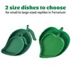 Reptile Bowls Flat Lizard Hamster Snake Accessories for Turtle Two