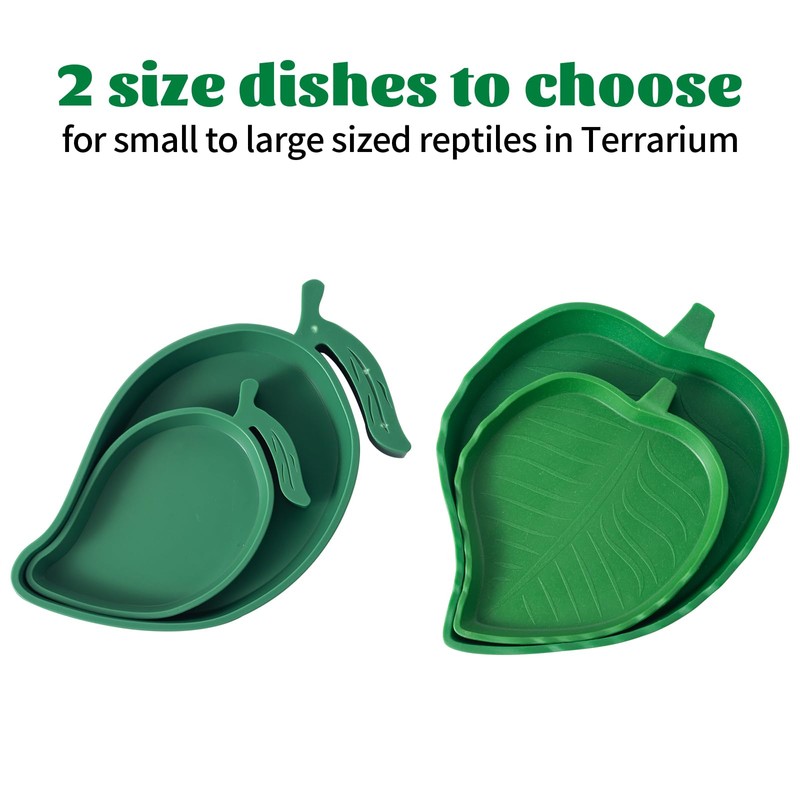 Reptile Bowls Flat Lizard Hamster Snake Accessories for Turtle Two