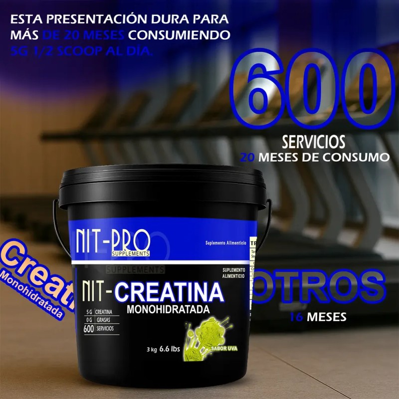 Creatina Monohidratada Alta Pureza Polvo Nit-pro 3kg 600ser