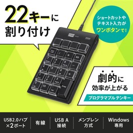Sanwa Supply NT-19UH2BKN2 Numeric Keypad, Programmable, Assignment Function Equipped, Wired USB Connection, Membrane, 23 Keys + Switch Button