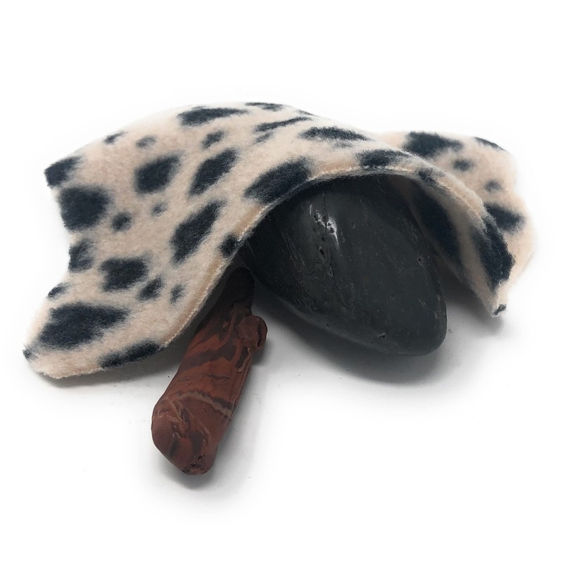 Cave Rock Pet Prehistoric Gag Gift with Adoption Certificate