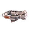 Lionet Paws Dog and Cat Collar with Bowtie Grid Collar