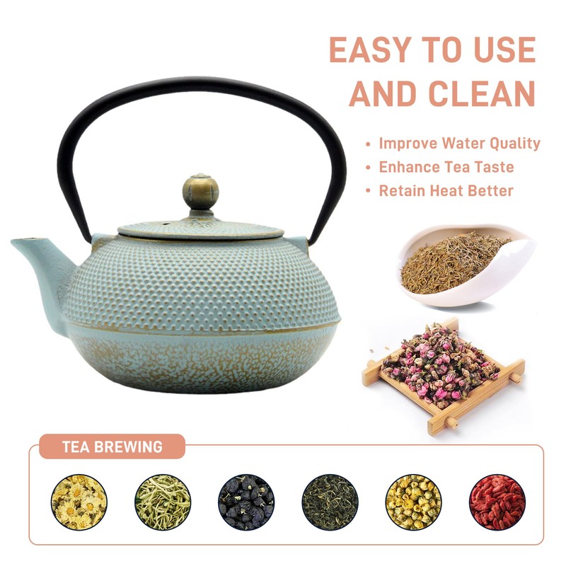 SECHUDO 30.4oz Small Cast Iron Teapot, Tea Kettle for Stovetop