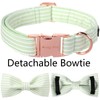 ARING PET Dog Collar-Cute Green Dog Collar with Bow, Adjustable