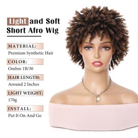 WIGNEE Short Twtist Afro Wig Dreadlock Wig Natural Black Faux Locs Short Braided Wigs For Black Women Heat Resistant Synthetic Wigs For Black Women (Ombre 1B/30)