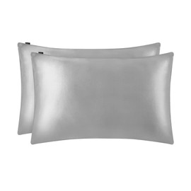 LILYSILK 2 Pack Silk Pillowcase 19 Momme 100% Mulberry Silk for Hair and Skin Charmeuse Silk on Both Sides Envelope Closure Silvergray Queen(20x33inch)