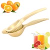 Hoshen Stainless Steel Manual Juicer, Multi-Function Orange Lemon Juicer, Metal