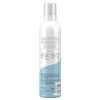 Olay Foaming Whip Body Wash - BIRCH WATER & LAVENDER