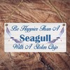 Be Happier Than a Seagull With A Stolen Chip: Inspiring